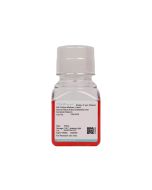 Human Renal Artery Endothelial Cell Complete Medium procell CM-H070
