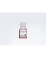 Hacat Cell Complete Medium procell CM-0090