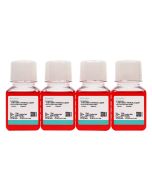 T24 [T-24] Cell Complete Medium procell CM-0227