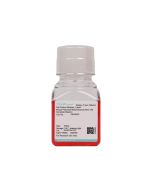 Mouse Placental Mesenchymal Stem Cell Complete Medium procell CM-M303