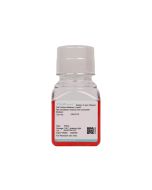 Rat Cerebellar Granule Cell Complete Medium procell CM-R112