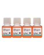 SH-SY5Y [SHSY-5Y] Cell Complete Medium procell CM-0208