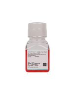 Mouse Small Airway Smooth Muscle Cell Complete Medium procell CM-M261