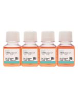 PC-3-RFP Cell Complete Medium procell CM-1010