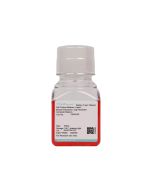 Mouse Embryonic Lung Fibroblast Complete Medium procell CM-M182