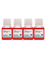 Hep B1.2 Cell Complete Medium procell CM-0351