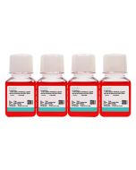 MDA-MB-468 (DMEM) Cell Complete Medium procell CM-0290B