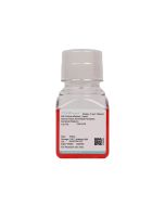Human Aortic Adventitial Fibroblast Complete Medium procell CM-H219