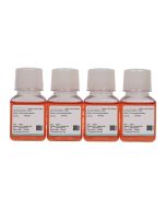 IGROV-1 Cell Complete Medium procell CM-1023