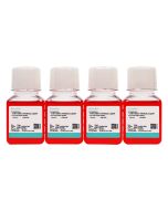 A-427 Cell Complete Medium procell CM-0253