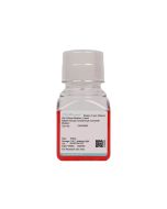 Rabbit Articular Chondrocyte Complete Medium procell CM-Rb002
