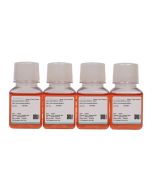 769-P Cell Complete Medium procell CM-0009