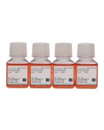 RL1 Cell Complete Medium procell CM-0427