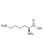 DL-Lysine