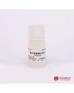 Ampicillin (100mg/ml solution)