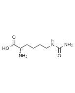 L-Homocitrulline