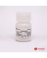 Lysozyme
