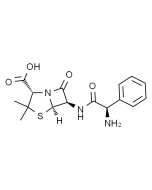 Ampicillin