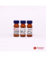 TRNA, BAKER’S YEAST