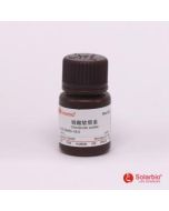 Chondroitin 4-Sulfate