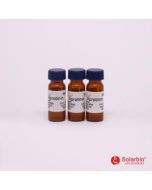 Aprotinin From Bovine Lung