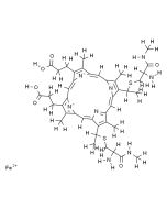 Cytochromes C