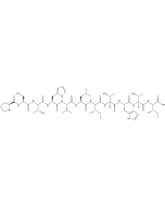 (Ile76)-TNF-α (70-80) solarbio CLP0068
