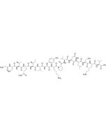 Tau Peptide (304-318) solarbio CLP1808