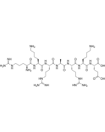 CGMP Dependent Kinase Inhibitor Peptide solarbio CLP1053