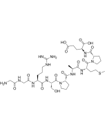 GGRSPAMPE solarbio CLP0074