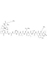 Tau Peptide (298-312) solarbio CLP1806