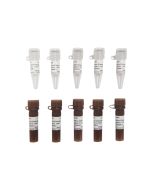 Mycoplasma Elimination Reagent (SweMyco-1+2) (100×) servicebio G4008-5ML