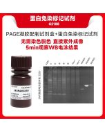 Stain-free Reagents for PAGE servicebio G2188-10ML