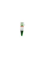 2 x Fast Pfus PCR Master Mix servicebio G3305-01
