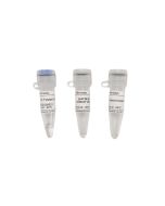 2×In-Fusion Cloning Mix servicebio G3350-20T