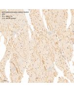 Anti-GABA A Receptor alpha 1 Rabbit pAb servicebio GB11716-100