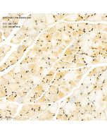 Anti-CSHL1/CSL Rabbit pAb servicebio GB11961-100