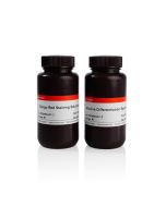 Congo Red Stain Kit servicebio G1056-250ML