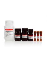 TSAPLus Fluorescence 3-Label 4-Color Staining Kit servicebio G1236-50T