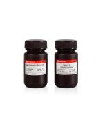 H&E Staining Kit (Hematoxylin and Eosin) servicebio G1005-100ML