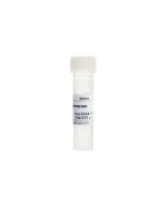 Taq DNA Polymerase servicebio G3441-1000U