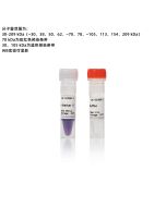 Western Protein Marker Ⅱ (Exposure) servicebio G2088-250UL