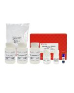 Antibody Purification Kit (Protein A Agarose Gel Method) servicebio G2246-10T