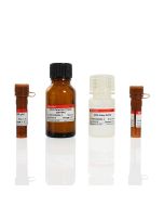 Malondialdehyde (MDA) Assay Kit(for Cell samples) servicebio G4300-48T