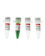 Mycoplasma Detection Kit（PCR） servicebio G1900-50T