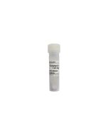 Puromycin Solution (10mg/mL) servicebio G4017-1ML