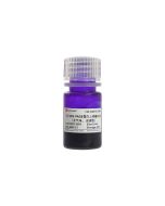 5×SDS-PAGE Protein Loading Buffer (Odorless, Reducing) servicebio G2075-10ML
