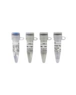 Recombinant SUMO Protease (Ulp1, His-tag) servicebio G3411-2000U