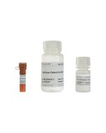 Total Iron Ion Assay Kit servicebio G4301-96T