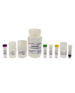 MagBind Bacterial Total RNA Extraction Kit servicebio G3617-50T